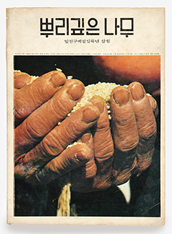 뿌리깊은 나무