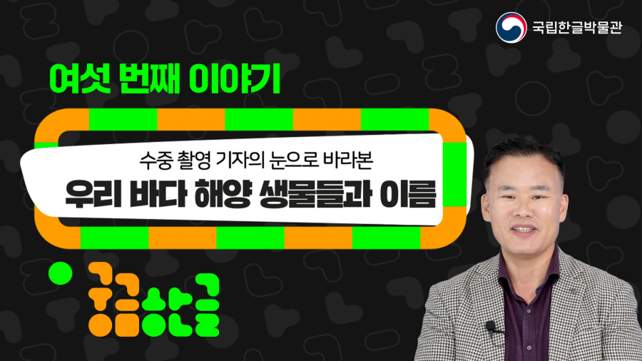 [궁금한글 2024년 6회차] 우리 바다 해양 생물들과 이름