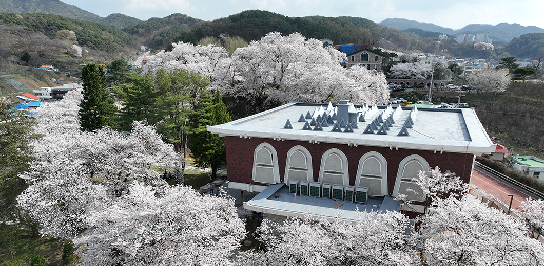 충청남도역사박물관.png