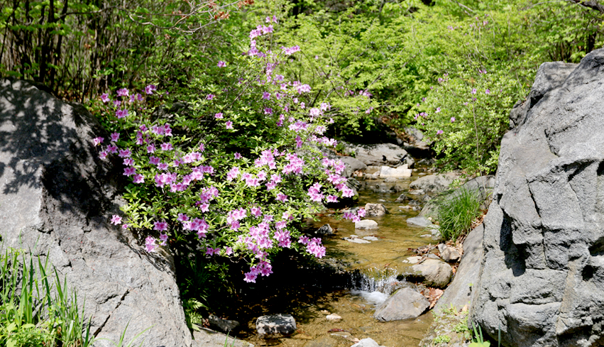 용산가족공원