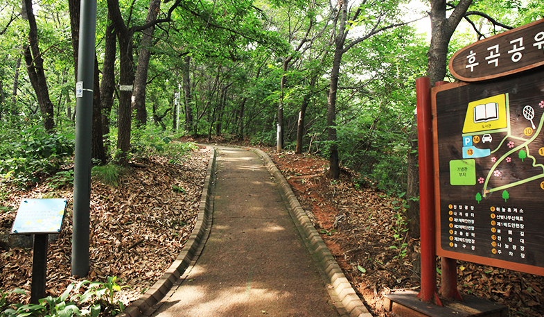 도서관 뒤편 후곡공원 산책로