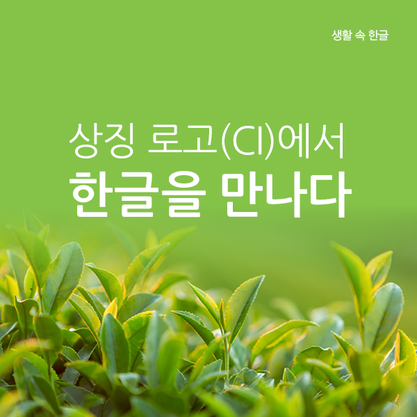 상징 로고(CI)에서 한글을 만나다, 생활 속 한글