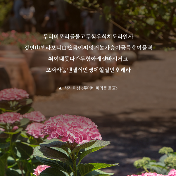 두터비리를물고두험우희치라안자 것넌山라보니白松骨이잇거가슴이금즉여풀덕여내다가두험아래쟛바지거고 모쳐라낸낼싀만졍에헐질번괘라 ▲ 작자 미상 <두터비 파리를 물고gt;
