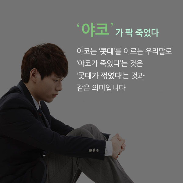 ‘야코’가 팍 죽었다.야코는 ‘콧대’를 이르는 우리말로 ‘야코가 죽었다’는 것은 ‘콧대가 꺾였다’는 것과 같은 의미입니다.
