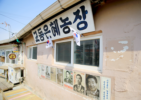 교동은혜농장이라 적힌 옛 간판 아래로 역대 대통령 후보들의 포스터가 벽에 붙여져 있다