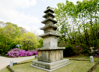 한글박물관의 풀꽃나무를 배경으로 찍은 석탑의 모습.
