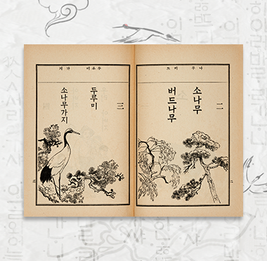 소장품 이야기 “<혹부리 영감>으로 살펴보는 옛 교과서 『보통학교 조선어독본』과 『초등 국어 교본』” 기사 사진. 『보통학교 조선어독본 권1』 내지 사진으로 누렇게 바랜 『보통학교 조선어독본 권1』 책이 펼쳐져 있다. 책에는 사각형이 그려져 있으며 그 안에 흑백으로 소나무와 버드나무, 소나무 가지에 앉아있는 두루미가 그려져 있다. 각 그림 위에는 세로쓰기로 ‘소나무’, ‘버드나무’, ‘두루미’, ‘소나무가지’가 적혀있다. 책 상단에는 ‘나무’, ‘버드’, ‘두루미’, ‘가지’가 오른쪽에서 왼쪽으로 적혀있다. 배경에는 하얀색 한지에 두루미, 구름 등이 그려져 있으며 한글 문구가 배경으로 활용됐다.