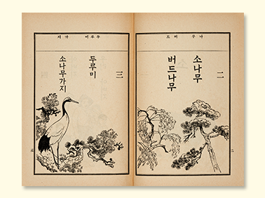 『보통학교 조선어독본 권1』 내지 사진. 누렇게 바랜 『보통학교 조선어독본 권1』 책이 펼쳐져 있다. 책에는 사각형이 그려져 있으며 그 안에 흑백으로 소나무와 버드나무, 소나무 가지에 앉아있는 두루미가 그려져 있다. 각 그림 위에는 세로쓰기로 ‘소나무’, ‘버드나무’, ‘두루미’, ‘소나무가지’가 적혀있다. 책 상단에는 ‘나무’, ‘버드’, ‘두루미’, ‘가지’가 오른쪽에서 왼쪽으로 적혀있다.