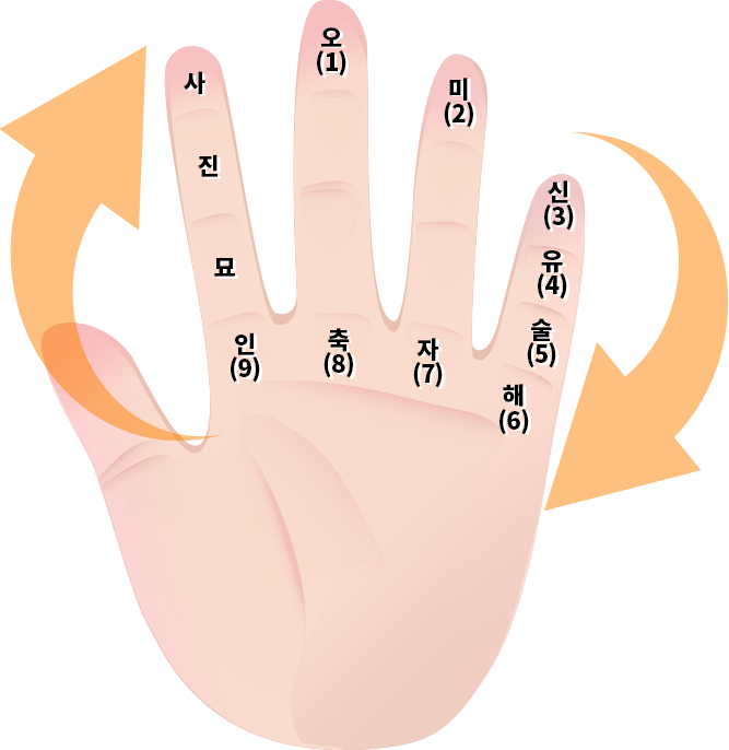 왼손 손바닥 그림이다. 검지 맨 위쪽부터 마디마다 차례대로 ‘사’, ‘진’, ‘묘’가, 손바닥과 이어지는 부분에 ‘인(9)’가 적혀있다. 중지 맨 위에 ‘오(1)’가, 맨 아래쪽 손바닥과 이어진 부분에 ‘축(8)’이 적혀있다. 약지 맨 위에 ‘미(2)’가, 맨 아래쪽 손바닥과 이어진 부분에 ‘자(7)’가 적혀있다. 새끼손가락 맨 위부터 마디마다 차례대로 ‘신(3)’, ‘유(4)’, ‘술(5)’, ‘해(6)’가 적혀있다. 손바닥을 중심으로 시계방향으로 도는 화살표가 그려져 있다.