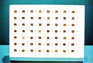 금속활자가 진열된 패널의 확대본. 하얀색 패널 위에 금속활자 약 50여 개가 나란히 놓여있다.