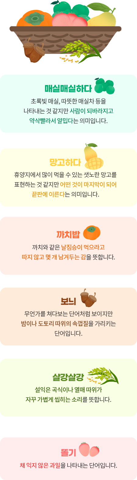 바구니에 망고, 감, 딸기, 매실이 담겨 있고 바구니 옆에는 도토리와 벼가 놓인 그림이 맨 위에 그려져 있다. 그림 아래 쪽으로 과일과 관련된 단어들과 그 뜻이 적혀있다. 제일 상단에는 초록색 매실 그림과 함께 ‘매실매실하다/ 초록빛 매실, 따뜻한 매실차 등을 나타내는 것 같지만 사람이 되바라지고 약삭빨라서 얄밉다는 의미입니다’라는 내용이 적혀있다. 아래 쪽으로 망고 그림과 ‘망고하다/ 휴양지에서 많이 먹을 수 있는 샛노란 망고를 표현하는 것 같지만 어떤 것이 마지막이 되어 끝판에 이른다는 의미입니다’가 적혀있다. 그 아래에는 감 그림과 함께 ‘까치밥/ 까치와 같은 날짐승이 먹으라고 따지 않고 몇 개 남겨두는 감을 뜻합니다’가 적혀있다. 아래엔 그 옆엔 밤 그림과 함께 ‘보늬/ 무언가를 쳐다보는 단어처럼 보이지만 밤이나 도토리 따위의 속껍질을 가리키는 단어입니다' 다음은  벼 그림과 ‘살강살강/ 설익은 곡식이나 열매 따위가 자꾸 가볍게 씹히는 소리를 뜻합니다’가 적혀있다. 다음으로는 딸기 그림과 ‘똘기/ 채 익지 않은 과일을 나타내는 단어입니다’가 적혀있다.  