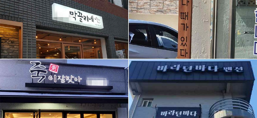 ‘재미있는 우리말 가게 이름 찾기’ 수상작들 4분할 사진이다. 왼쪽 위부터 시계 방향으로 ‘막끌리네’, ‘다 때가 있다’, ‘바라던바다’, ‘죽이잘맞아’ 가게의 사진들이 있다.