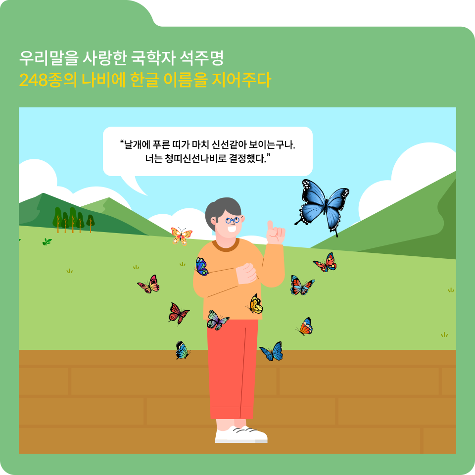 녹색 폴더 그림이 있고, 그림 왼쪽 상단에 ‘우리말을 사랑한 국학자 석주명 248종의 나비에 한글 이름을 지어주다’라고 적혀 있다. 그 밑에 또 다른 그림이 있다. 그림 가운데에 파란색 안경을 쓴 소년이 있다. 소년 주위로 열두 마리의 나비가 날고 있다. 소년이 왼쪽 검지손가락을 펴고 한 나비를 응시하면서 “날개에 푸른 띠가 마치 신선 같아 보이는구나. 너는 청띠신선나비로 결정했다”고 말한다.