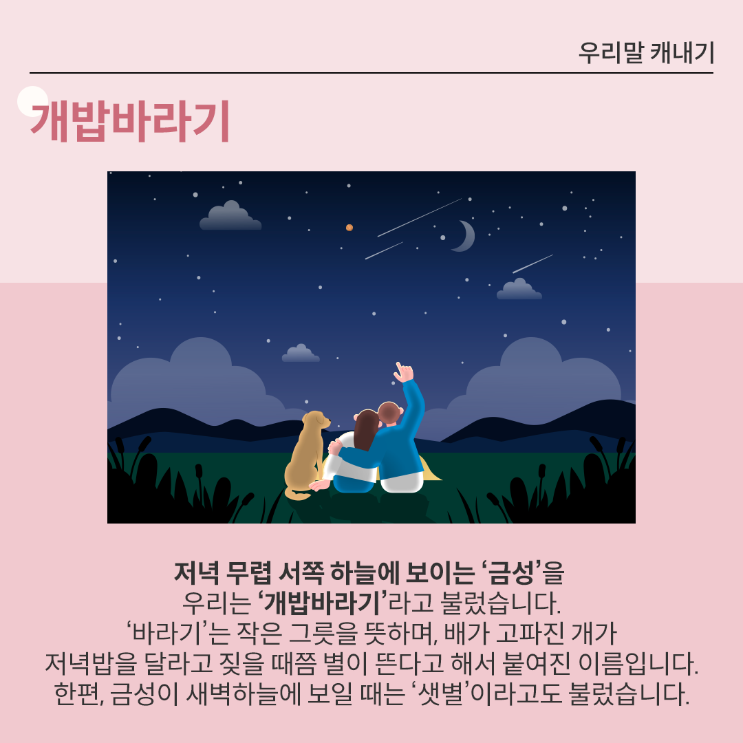 밤하늘 아래 한 커플이 잔디밭에 앉아 함께 별을 바라보고 있다. 여자는 남자의 어깨에 기대어 앉아 있고, 남자는 오른손을 들어 하늘의 별똥별을 가리키고 있다. 커플 옆에 강아지가 앉아 있다. 하늘은 어두운 밤하늘로 달과 별, 별똥별이 보인다.