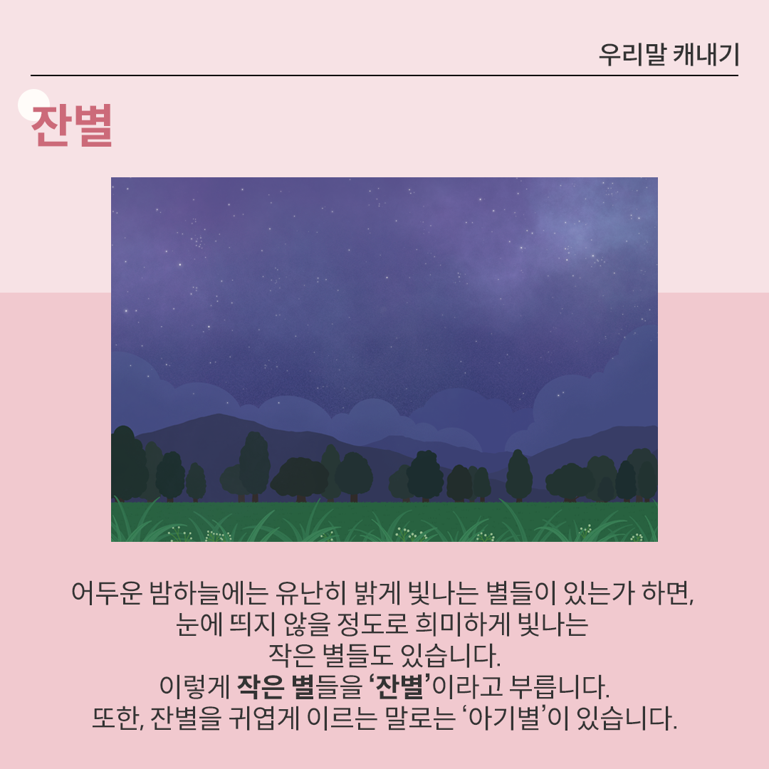 밤하늘에 작은 별이 빛나고 있다. 하늘 아래에는 초록빛 잔디밭이 펼쳐져 있고, 잔디 사이사이에 작은 꽃들이 하얗게 피어있다.