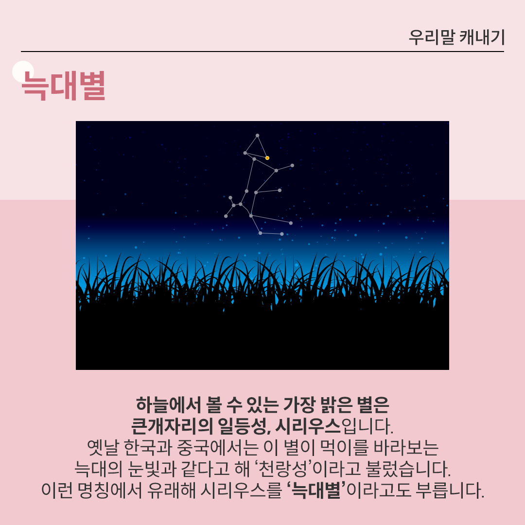 밤하늘 색이 검은색에서 푸른색으로 그라데이션 되어 있다. 밤하늘 중앙에는 시리우스 별자리가 있다.