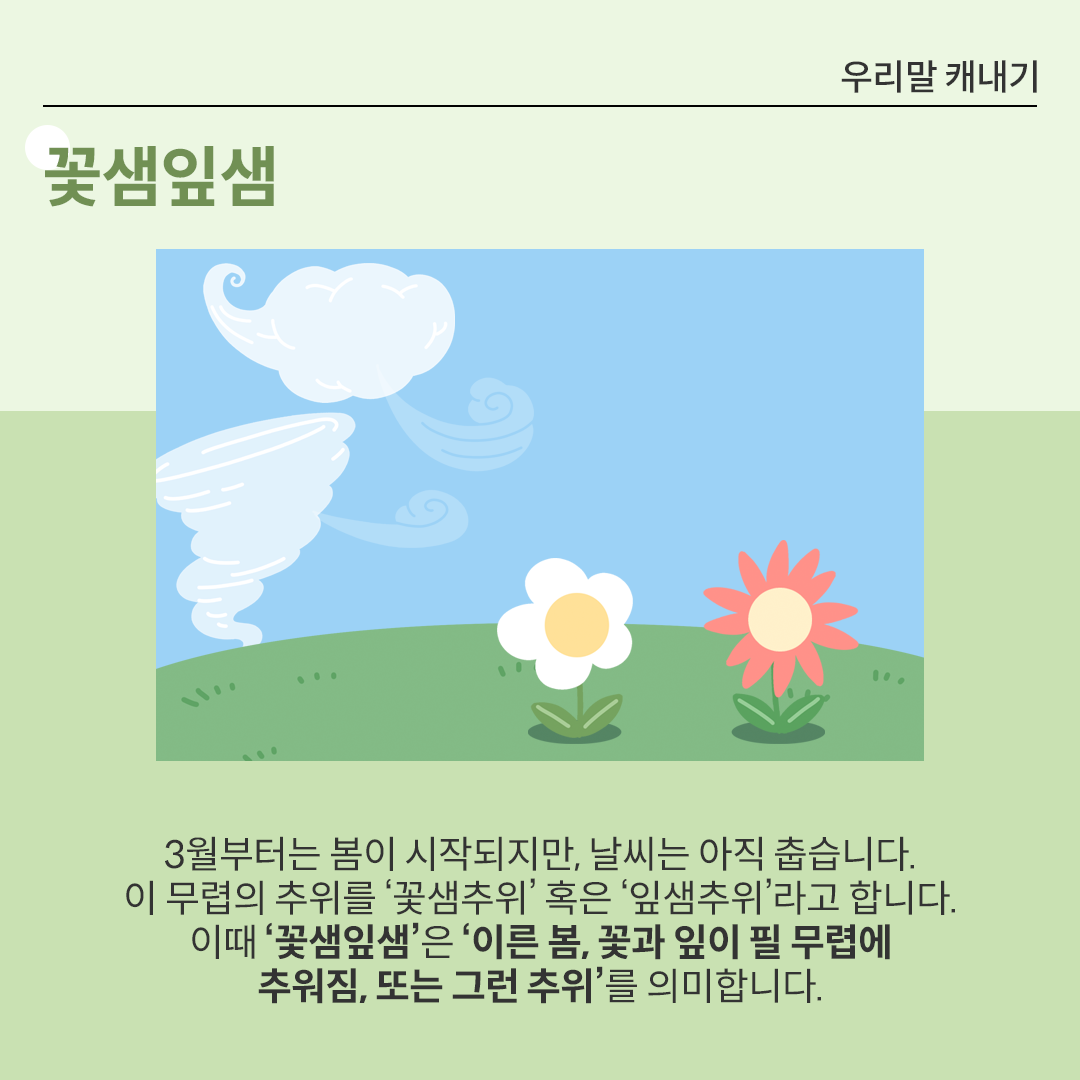 배경은 파란 하늘이며, 바람을 나타내는 흰색 구름과 회오리가 그려져 있다. 아래쪽에는 푸른 들판이 있고, 그 위에 두 송이 꽃이 피어 있다. 