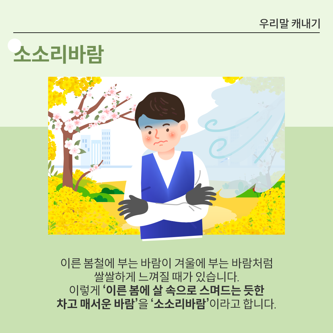 가운데 남성이 팔짱을 낀 채 몸을 움츠리고 있다. 이마에 푸른색 그림자가 있어 추위를 느끼는 표정이 강조되어 있다. 배경에는 노란색 개나리와 벚꽃이 만개했고, 오른쪽에는 회색 구름과 함께 휘몰아치는 바람이 표현되어 있다.