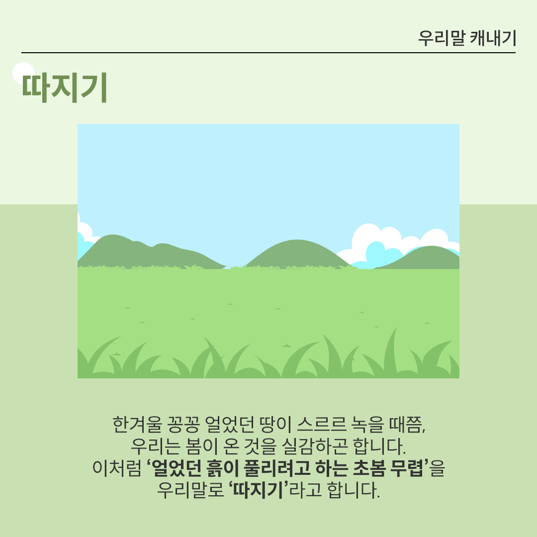 맑은 하늘과 넓은 초록색 들판이 펼쳐져 있다. 초록색 잔디와 풀잎이 조금씩 자라 있는 모습이다.