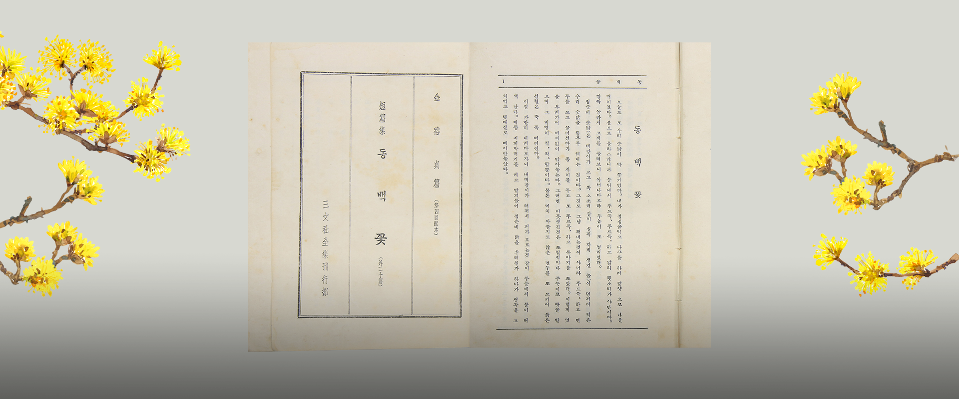 소장품 이야기 사진. 연한 회색 배경이며 양쪽에는 노란 꽃 그림이 그려져 있다. 가운데에는 김유정의 ‘동백꽃’ 초판본의 한 페이지가 펼쳐져 있다.