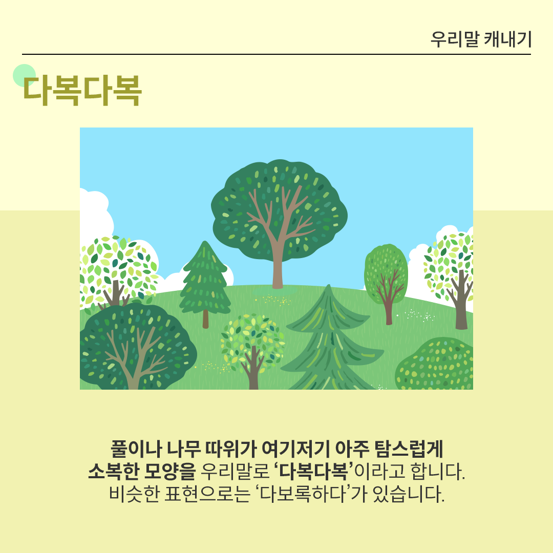 화면 중앙에 나무와 풀이 무성하게 자라있는 숲의 풍경이 묘사된 그림이 있다. 다양한 크기와 형태의 나무들이 빼곡하게 자리 잡고 있다. 그 아래에는 ‘풀이나 나무 따위가 여기저기 아주 
                            탐스럽게 소복한 모양을 우리말로 ‘다복다복’이라고 합니다. 비슷한 표현으로는 ‘다보록하다’가 있습니다.’라고 적혀있다.