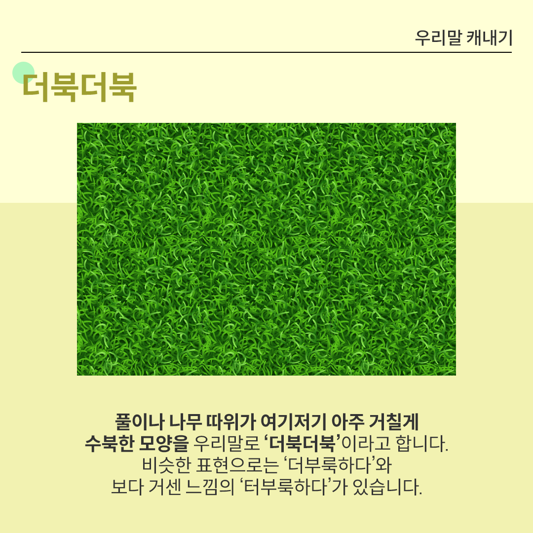 화면 중앙에 빽빽하게 자란 풀의 모습이 묘사된 그림이 있다. 초록빛 풀이 겹겹이 쌓여있다. 그 아래에는 ‘풀이나 나무 따위가 여기저기 아주 거칠게 수북한 모양은 우리말로 ‘더북더북’이라고 합니다. 비슷한 표현으로는 ‘더부룩하다’와 보다 거센 느낌의 ‘터부룩하다’가 있습니다.’라고 적혀있다. 