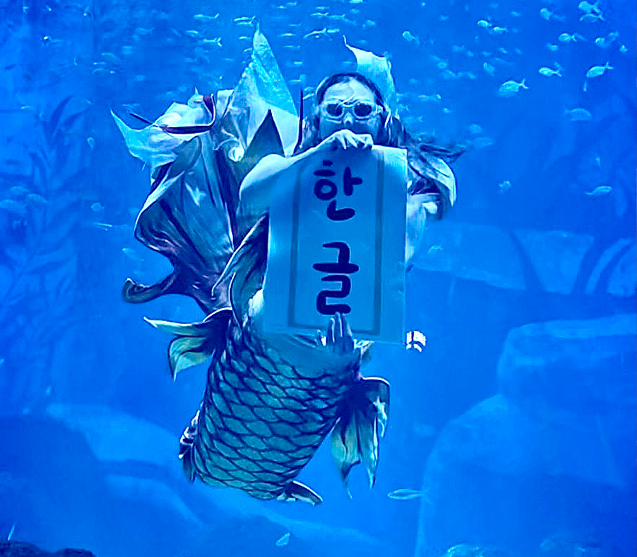 입선 ‘한글수중’ 사진이다. 인어 복장을 한 다이버가 물속에서 ‘한글’이라는 글자가 적힌 천을 펼쳐 보이고 있다.