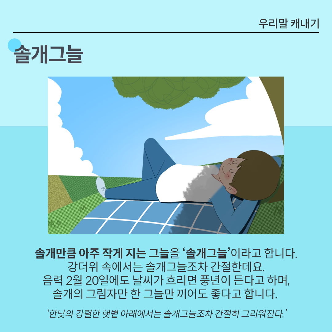 카드뉴스 배경은 시원한 느낌을 주는 하늘색이다. 상단에는 ‘솔개그늘’이 적혀있다. 그 아래 그림에는 한 남자가 풀밭에 돗자리를 깔고 누워있으며, 그 위에 나무 그늘이 드리워져 있다. 그 아래에는 ‘솔개그늘’에 대한 설명이 적혀있다. 솔개만큼 아주 작게 지는 그늘을 ‘솔개그늘’이라고 합니다. 강더위 속에서는 솔개그늘조차 간절한데요. 음력 2월 20일에도 날씨가 흐리면 풍년이 든다고 하며, 솔개의 그림자만 한 그늘만 끼어도 좋다고 합니다. ‘한낮의 강렬한 햇볕 아래에서는 솔개그늘조차 간절히 그리워진다.’