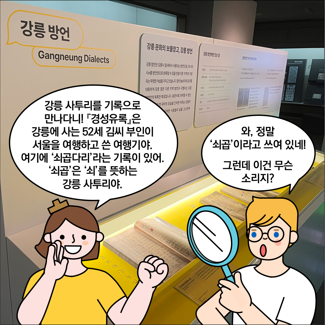 배경에는 ‘강릉 방언’이라는 제목 아래, 강릉 말과 관련된 정보들이 담긴 패널과 자료들이 진열되어 있다. 한글씨가 ‘강릉 사투리를 기록으로 만나다니! 『경성유록』은 강릉에 사는 52세 김씨 부인이 서울을 여행하고 쓴 여행기야. 여기에 ‘쇠곱다리’라는 기록이 있어. ‘쇠곱’은 ‘쇠’를 뜻하는 강릉 사투리야.’라고 설명하고 있다. 외국인 친구가 돋보기를 들고 ‘와, 정말 쇠곱이라고 쓰여 있네! 그런데 이건 무슨 소리지?’라고 묻고 있다.