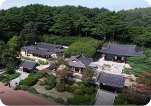 강릉 오죽헌시립박물관을 하늘에서 내려다본 사진이다. 검정 기와지붕을 얹은 여러 채의 한옥이 모여 있다. 박물관 주위에는 나무들이 울창하게 우거진 숲이 펼쳐져 있다. 사진 왼쪽 하단에는 하늘색 박스 안에 ‘기획기사’ 문구가 적혀있다. 그 아래에는 기사의 제목 ‘강릉에서 펼쳐지는 팔도 방언의 말맛, <사투리는 못 참지!> 강릉 순회전시 개최’가 쓰여있다.