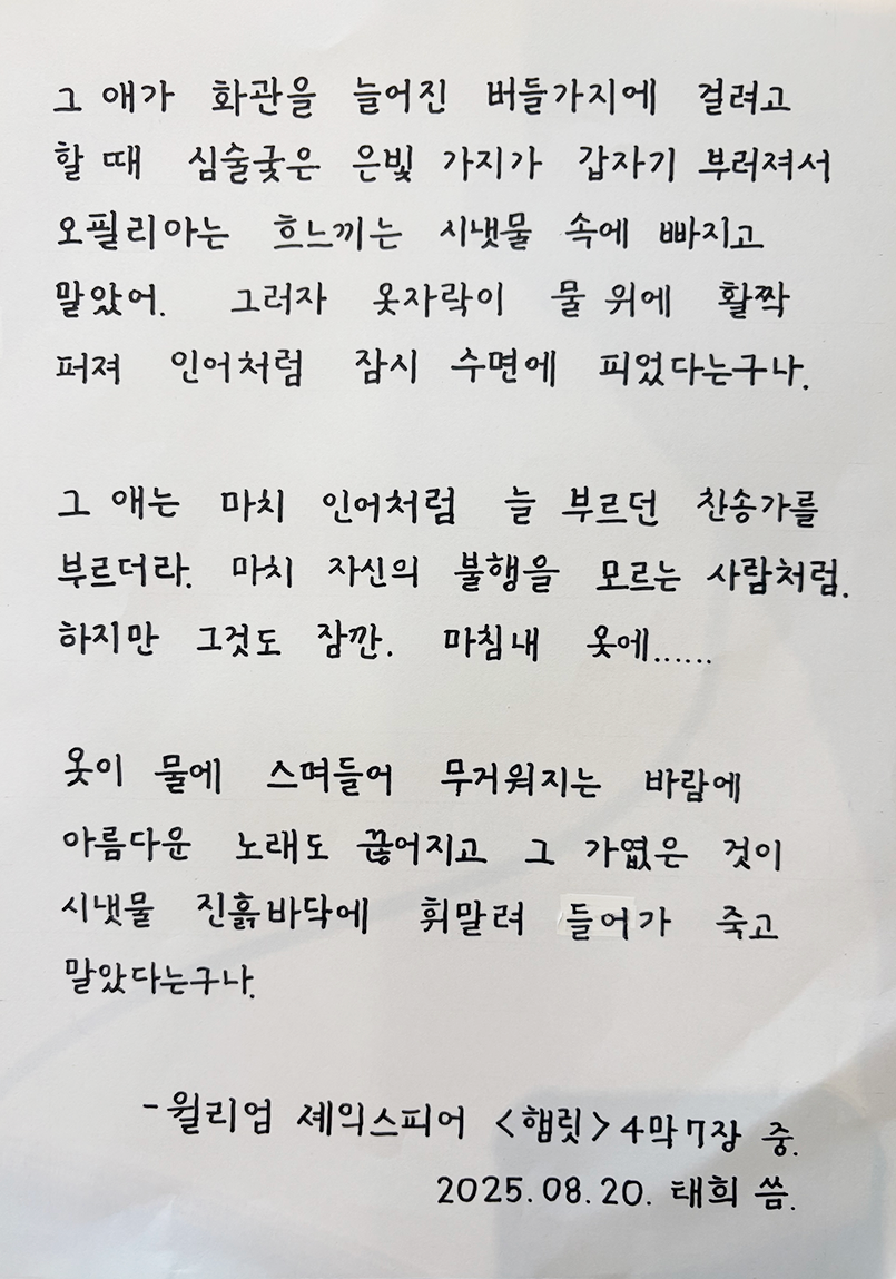 8월호 한 글 쓰기 참여작 사진이다. 흰 종이에 셰익스피어의 희곡 ‘햄릿’ 4막 7장 중 일부를 적었다. 그 애가 화관을 늘어진 버들가지에 걸려고 할 때 심술궂은 은빛 가지가 갑자기 부러져서 오필리아는 흐느끼는 시냇물 속에 빠지고 말았어. 그러자 옷자락이 물 위에 활짝 퍼져 인어처럼 잠시 수면에 피었다는구나. / 그 애는 마치 인어처럼 늘 부르던 찬송가를 부르더라. 마치 자신의 불행을 모르는 사람처럼. 하지만 그것도 잠깐. 마침내 옷에...... /  옷이 물에 스며들어 무거워지는 바람에 아름다운 노래도 끊어지고 그 가엾은 것이 시냇물 진흙바닥에 휘말려 들어가 죽고 말았다는구나. 