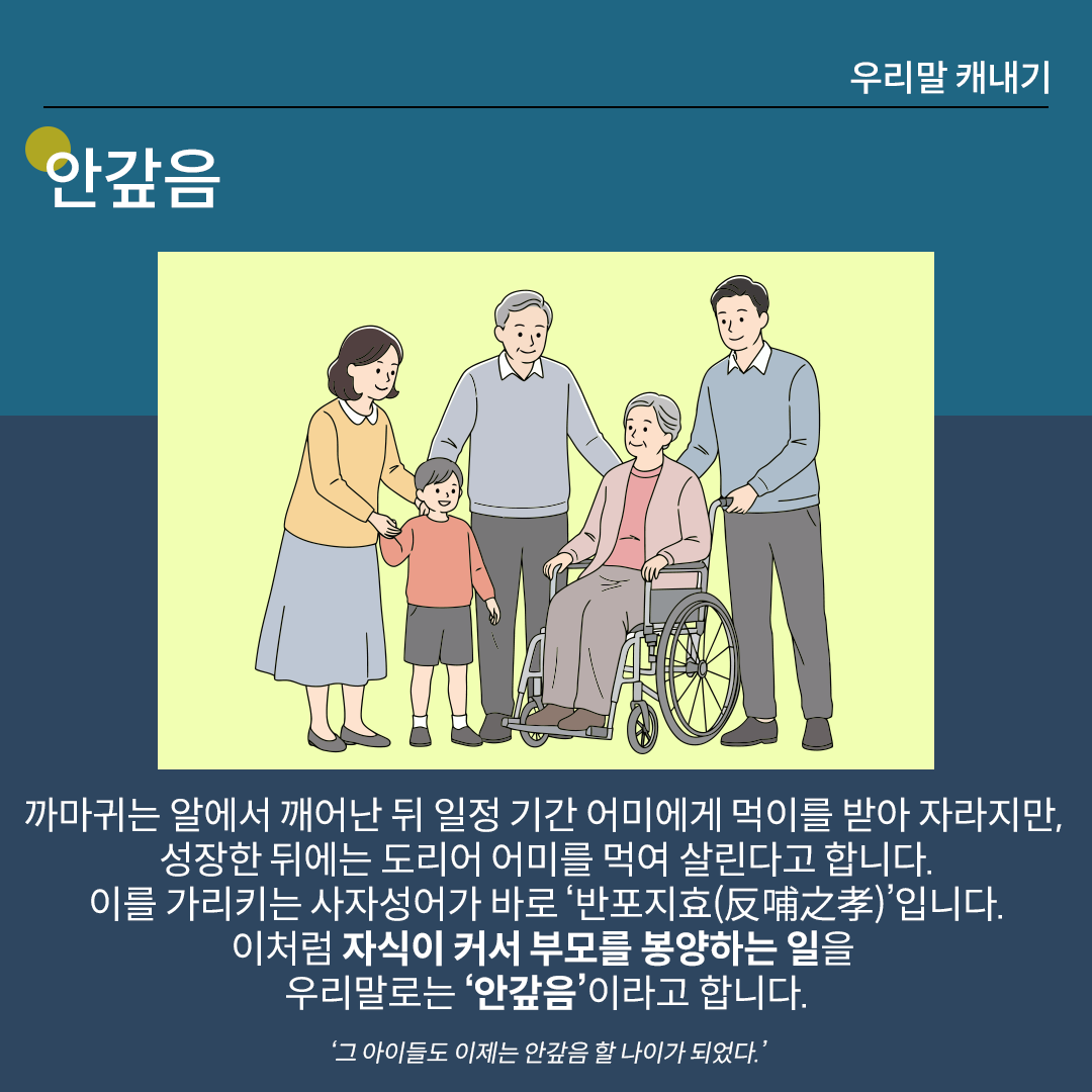 ‘안갚음’을 설명하는 카드뉴스이다. 진한 남색 배경 위에 흰 글씨로 ‘안갚음’이라고 쓰여 있다. 중앙 그림에는 밝은 노란색 옷을 입은 여성이 작은 남자아이의 손을 잡고 있고, 가운데에는 할아버지가 서 있으며, 그 옆에는 휠체어에 앉아 있는 할머니가 미소 짓고 있다. 하단 설명에는 ‘까마귀는 알에서 깨어난 뒤 일정 기간 어미에게 먹이를 받아 자라지만, 성장한 뒤에는 도리어 어미를 먹여 살린다고 합니다. 이를 가리키는 사자성어가 바로 반포지효(反哺之孝)입니다. 이처럼 자식이 커서 부모를 봉양하는 일을 우리말로는 안갚음이라고 합니다.’라고 적혀있다. ‘그 아이들도 이제는 안갚음 할 나이가 되었다.’라는 에문이 덧붙여져 있다.