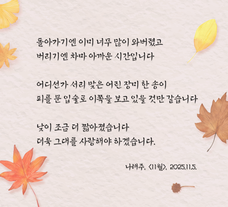 따뜻한 베이지색 종이 질감이며, 가장자리를 따라 주황색·갈색·노란색 단풍잎이 흩어져 있다.
아래에는 나태주의 시 ‘11월’이 적혀있다. 돌아가기엔 이미 너무 많이 와버렸고 / 버리기엔 차마 아까운 시간입니다 / 어디선가 서리 맞은 어린 장미 한 송이 / 피를 문 입술로 이쪽을 보고 있을 것만 같습니다 / 낮이 조금 더 짧아졌습니다 / 더욱 그대를 사랑해야 하겠습니다