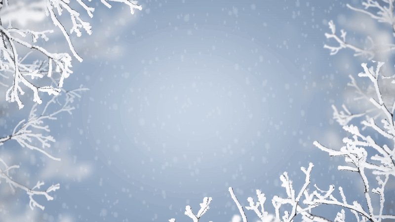 하얗게 눈이 쌓인 나뭇가지들이 좌우에 뻗어있다. 눈송이는 공중에서 부드럽게 흩날리고 있다. 중앙에는 안도현의 시 ‘우리가 눈발이라면’이 적혀있다. 우리가 눈발이라면 / 허공에서 쭈삣주삣 흩날리는 / 진눈깨비는 되지 말자 / 세상이 바람 불고 춥고 어둡다 해도 / 사람이 사는 마을 / 가장 낮은 곳으로 / 따뜻한 함박눈이 되어 내리자 / 우리가 눈발이라면 / 잠 못 든 이의 창문가에서는 / 편지가 되고 / 그이의 깊고 붉은 상처 위에 돋는 / 새살이 되자