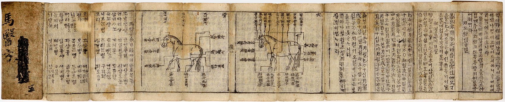 ‘마경초’ 사진이다. 길게 이어진 두루마리 형태의 종이가 펼쳐져 있고, 누렇게 바랜 종이 위에 말의 모습을 그린 삽화가 반복해서 등장한다.