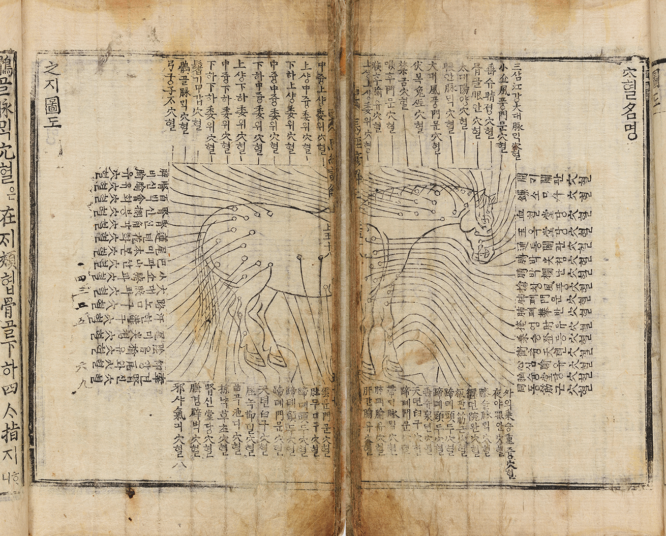 ‘마경초집언해’ 중 ‘혈명지도(穴名之圖)’ 그림이다. 누렇게 바랜 종이 위에 말의 몸을 그린 선 그림과 함께 수많은 선과 글자가 촘촘히 연결돼 있다.