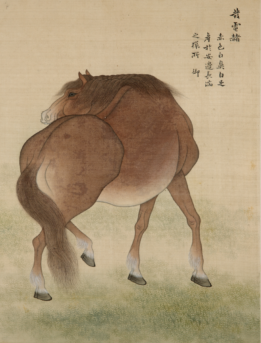 ‘팔준도첩’에 있는 몸을 비틀어 뒤를 돌아보는 자세의 말 그림이다.