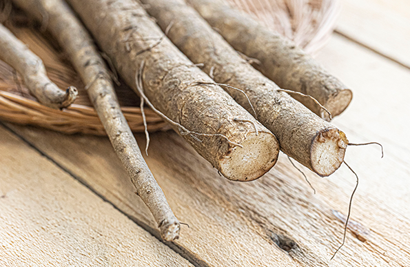 우엉 여러 개가 바구니에 담겨있다.